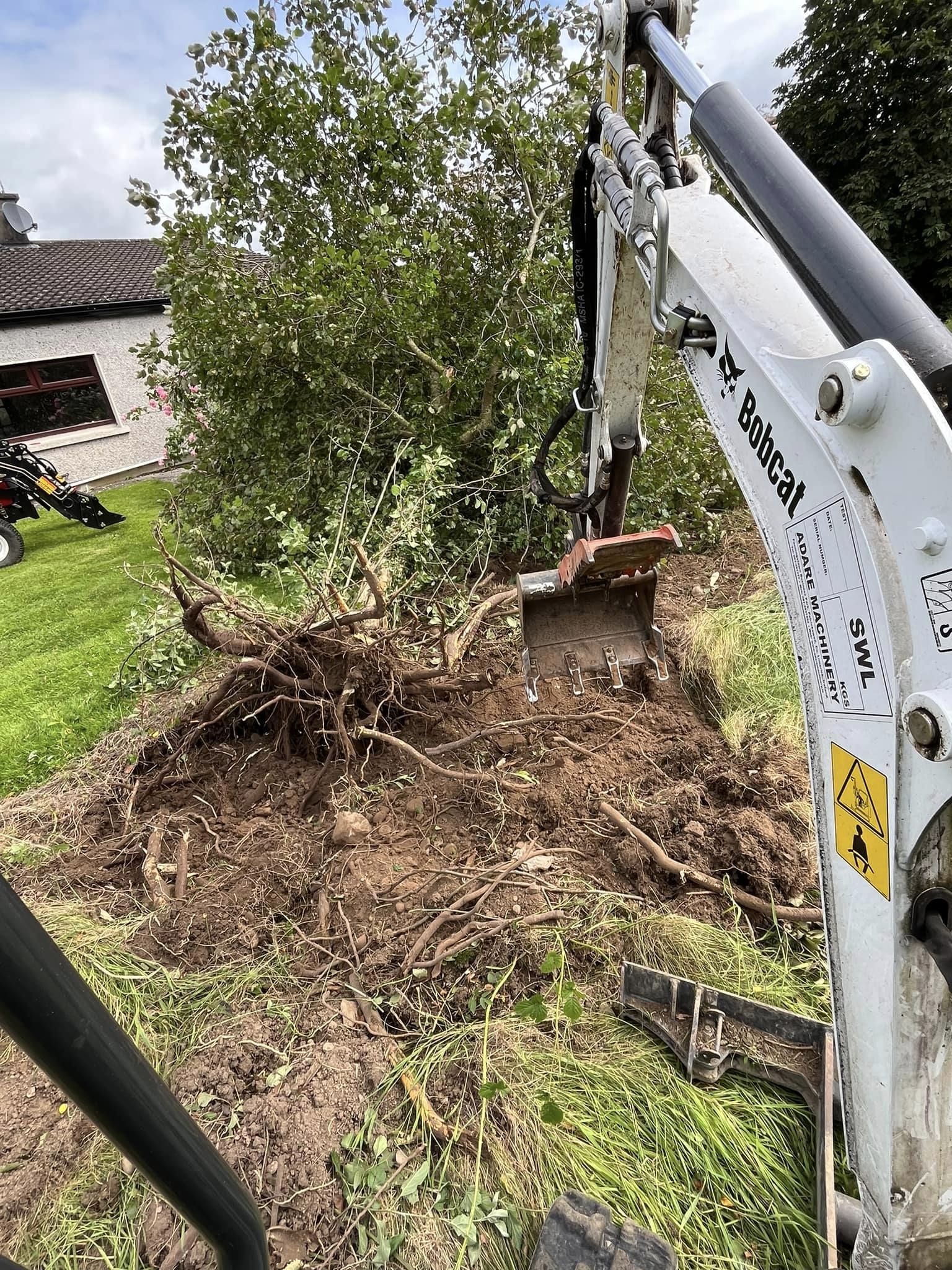 Replace my old lawn Tipperary